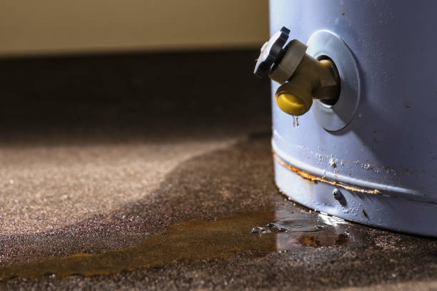 Best Water damage contractors near me  in Highland, MD