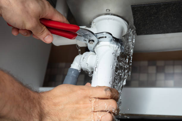Best Professional water damage repair  in Highland, MD