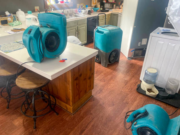 Best Emergency water damage restoration  in Highland, MD