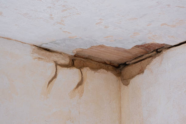 Best Flood restoration services  in Highland, MD