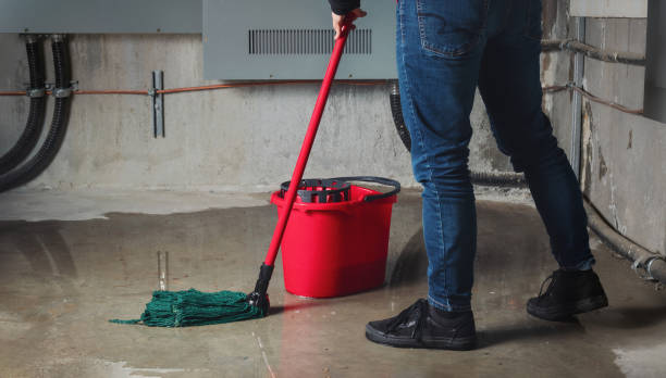 Best Flood damage cleanup  in Highland, MD