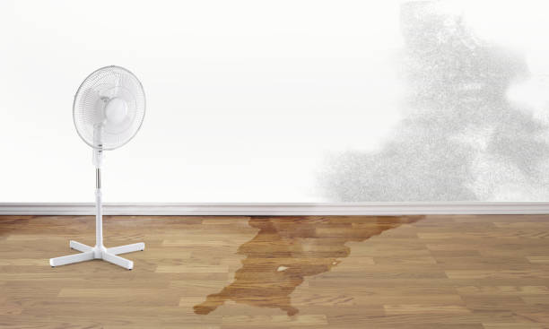 Best Water damage restoration near me  in Highland, MD