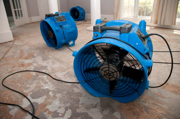 Best Flood restoration services  in Highland, MD