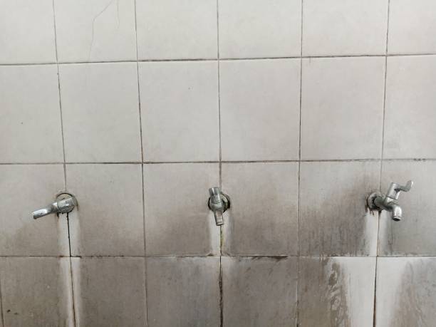 Best Water damage restoration process  in Highland, MD
