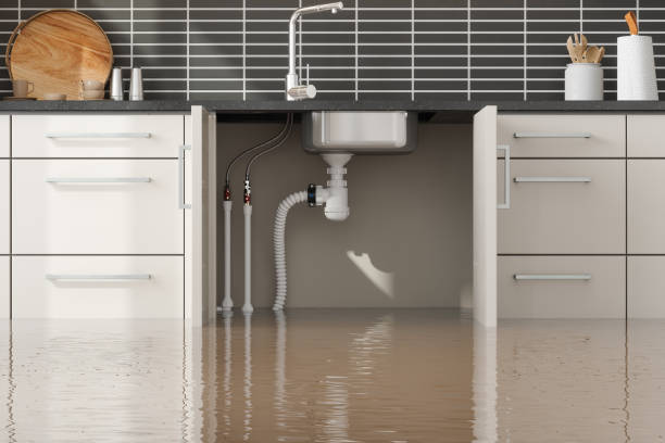 Best Local water damage restoration  in Highland, MD