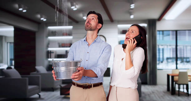  Highland, MD Water damage restoration Pros