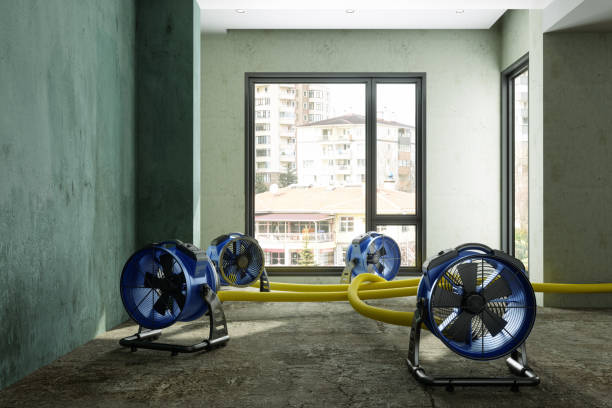 Best Emergency water damage restoration  in Highland, MD